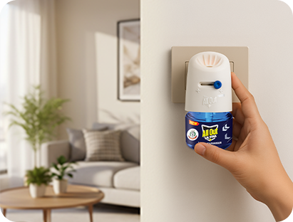 Mosquito-roof your Home in under 10 Minutes