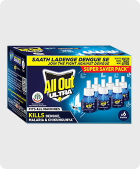 Pack of 6