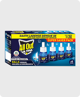 Pack of 4