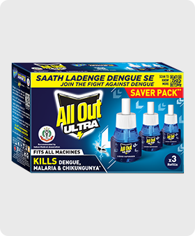 Pack of 3
