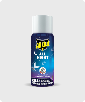 AOAN 15 ML
