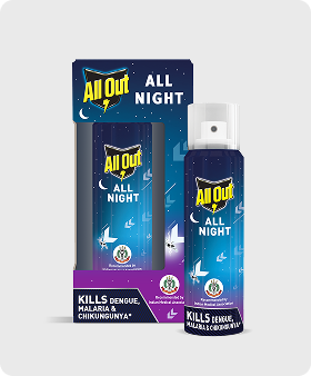 AOAN 30 ML