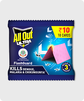 ALL OUT ULTRA