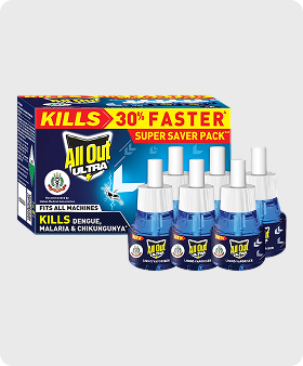 Pack of 6