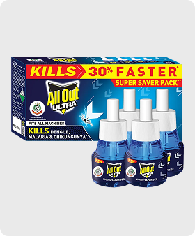 Pack of 4