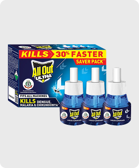 Pack of 3