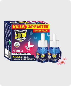 Twin Refill Floral